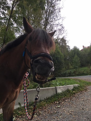 Hei og velkommen til ny hjemmeside!